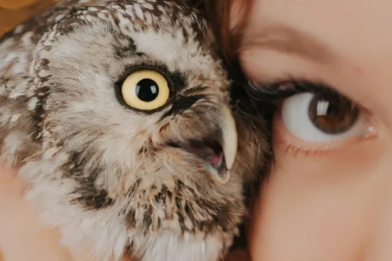 VegasWild Casino Podrška